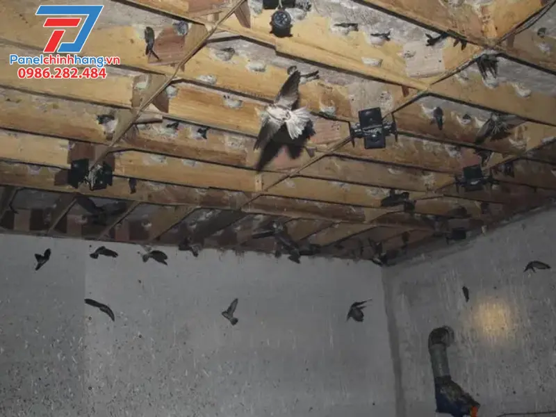 vật liệu cách nhiệt nhà yến