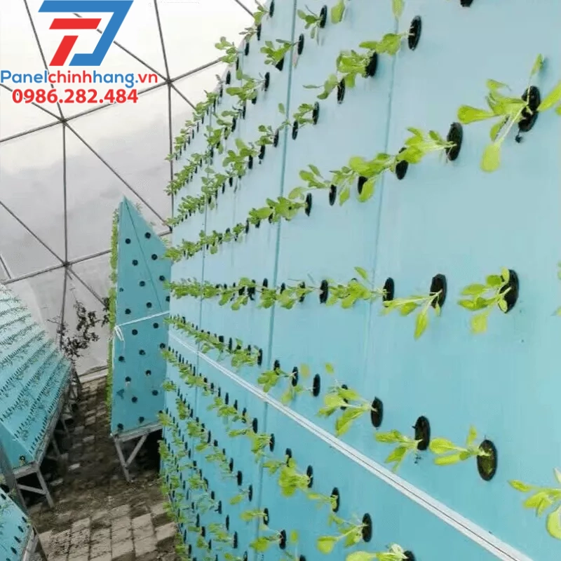Hệ thống giàn rau sử dụng xốp XPS trồng rau
