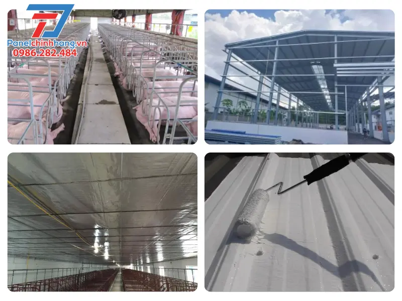 giải pháp chống nóng trang trại