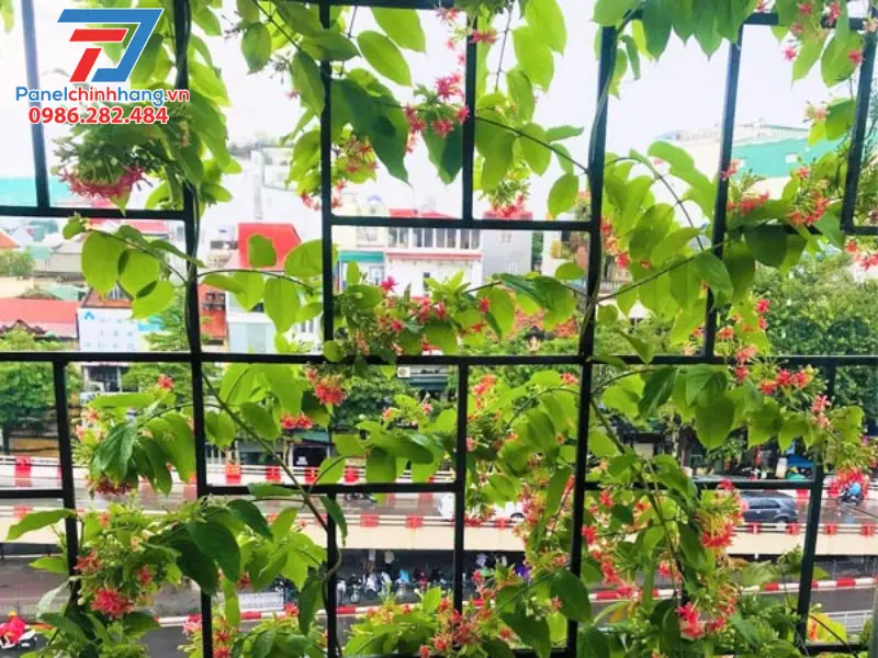 Trồng cây xanh, giàn cây leo ở ban công để chống nóng nhà chung cư Trồng cây xanh, giàn cây leo ở ban công để chống nóng nhà chung cư
