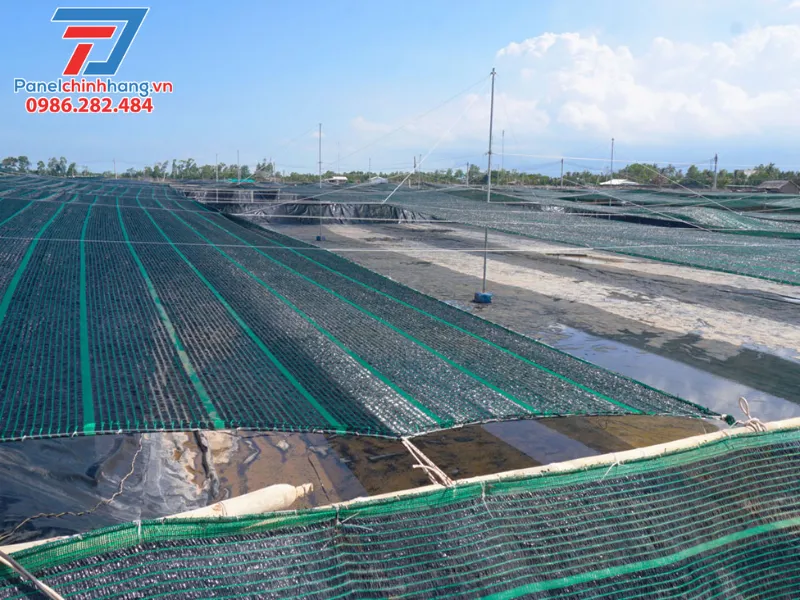 Sử dụng lưới che nắng hoặc trồng cây leo trên mái Sử dụng lưới che nắng hoặc trồng cây leo trên mái