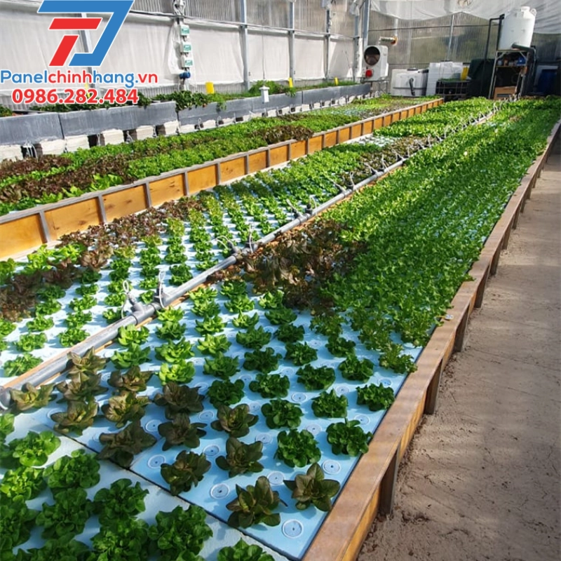 Sử dụng xốp XPS làm vật liệu chính cho giàn trồng rau