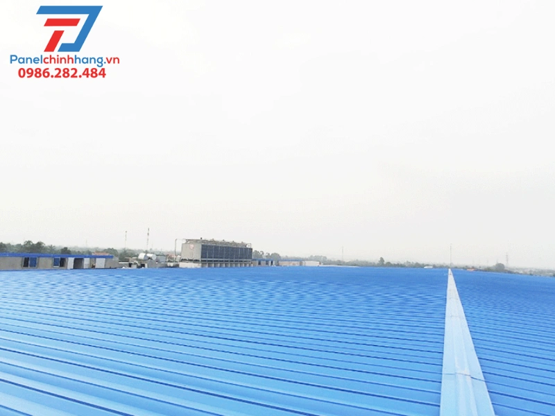 Chống nóng mái tôn nhà xưởng cho ngành thủy sản Chống nóng mái tôn nhà xưởng cho ngành thủy sản