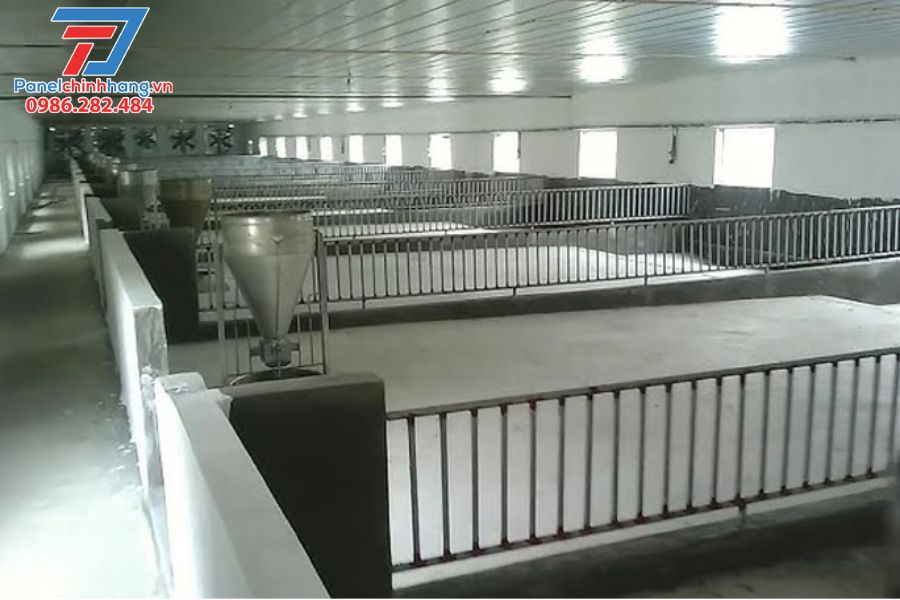 Cách Chống Nóng Trang Trại Giúp Tăng Năng Suất Chăn Nuôi