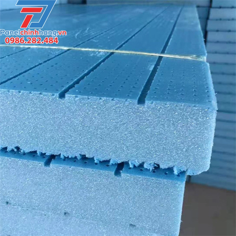 Xốp XPS có bị mối mọt không?