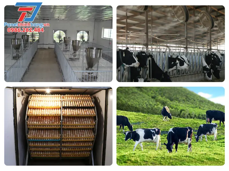 chống nóng trang trại